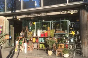 人混みを回避しながら渋谷でインテリアショップめぐり