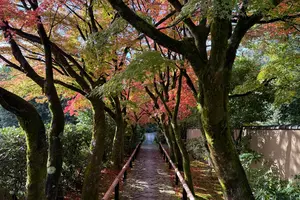 (2024.11)京都女子旅