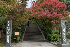 【北鎌倉〜江ノ島】秋の紅葉＆イルミネーション✨…そして美味しいもの