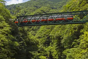 箱根日帰りひとり旅🚃🚠🚌