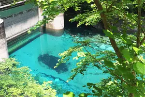 神奈川県にあるユーシンブルーを見に行こう〜御殿場・仙石原ドライブ
