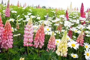 北海道はでっかいどう♡花畑とグルメとアニマル堪能！〜道央編〜