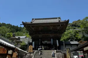 【奈良】梅雨真っ最中？！🪷長谷寺へ