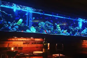 【新宿】で、ちょっぴり背伸びした大人デート