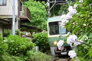 【鎌倉幕府の始まりと終わり】2025.2