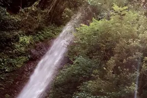 夏だ！暑い！滝見て涼もう！アートで遊ぼう！岐阜養老