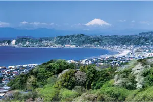 ローカルが行く鎌倉・立ち呑み