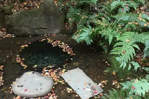 都内、徒歩でパワースポット巡り♡渋谷近辺編