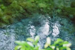 生まれたての水がキラキラ☆ 南阿蘇村の小さな旅