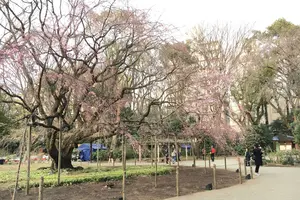 山手線さんぽ。駒込駅