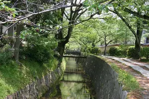 哲学の道散歩とカフェ