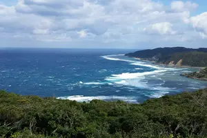 天国に一番近い島？奄美大島 その2