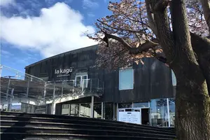 人混み苦手さんへ🌸のんびり桜デート神楽坂🌸