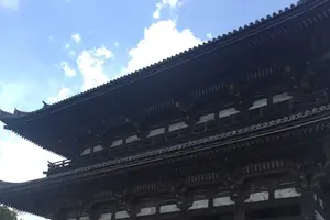 仁和寺の御室桜