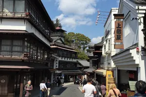 ✳︎千葉県✳︎  春の成田さんぽ🌸
