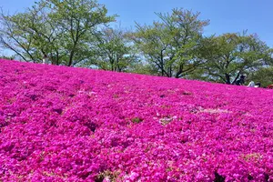 ピクニックにデートに…公園でのんびりっ♡ 東京のオススメ公園特集