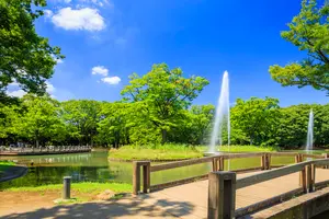 代々木公園から新宿ランチまで