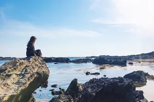 みさきまぐろきっぷで行く！城ヶ島・三崎港 日帰り旅プラン