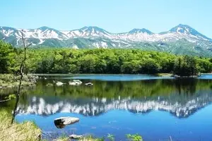 観て食べて体験も！体験型北海道ツアー