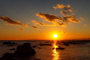 大切な人と日帰り三浦半島