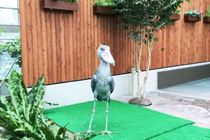 静岡県満喫