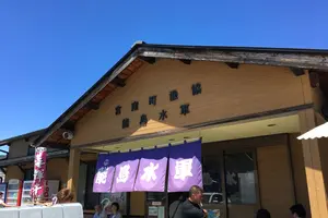 能島水軍潮流体験船