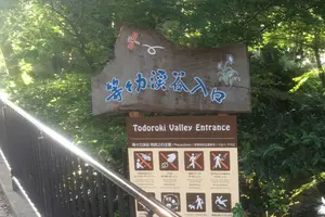 ぶらり等々力渓谷の旅