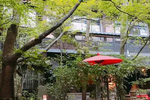 阿蘇の推し温泉5選♨️絶景カフェを添えて