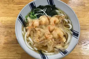 高知旅