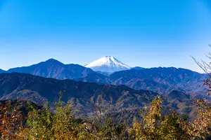 高尾山だけじゃもったいない！八王子の素敵カフェを一挙紹介！