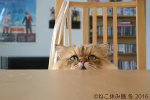 浅草橋周辺の気になるところ