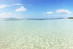 冬だって、冬だから沖縄！の旅