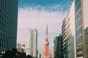 お気に入りカフェ ☕️
