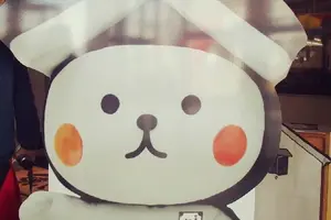 本物の出会い栃木〜両毛線編〜