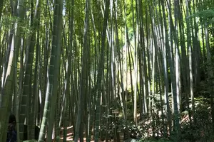 鎌倉散歩