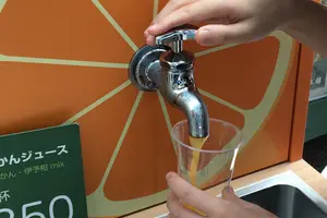 四国4県満喫旅行