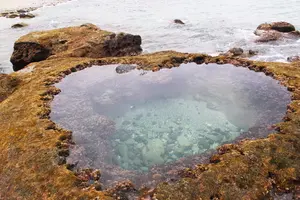 【 奄美大島 】2泊３日のタビ ♡