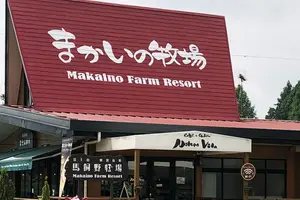 のんびりソロキャンプ③