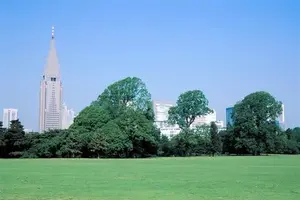 眠らない街で隠れ家を探そう（新宿）