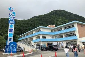 高知市民が作るオススメ県内観光