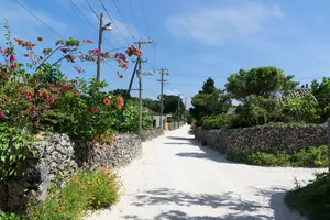私の沖縄通いの原点・おじぃ・おばぁが待っている竹富島　～　スローライフな島　～