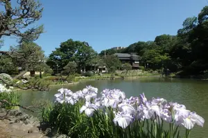 【2022年3月13日放送分】フジテレビ「なりゆき街道旅」で紹介されたお店【早稲田】
