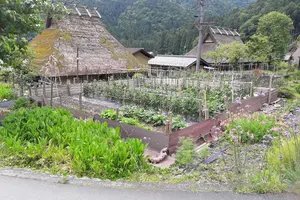 美山駕車行