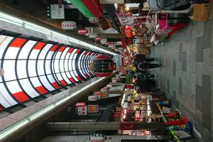 大阪市内 半日御朱印巡り+観光