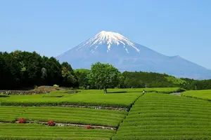 静岡長いぞ箱根旅行