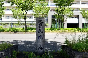大阪市天満散歩、大塩平八郎の乱