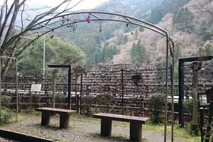 【徳島】恋愛のパワースポット　恋人峠