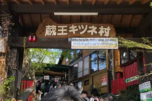 春の宮城 キツネと松島ぶらり旅