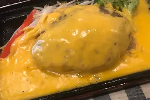 とうきょう はんばーぐ録