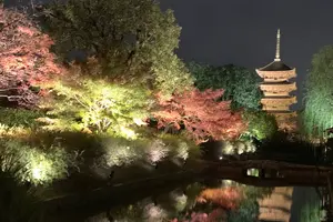 京都✨
